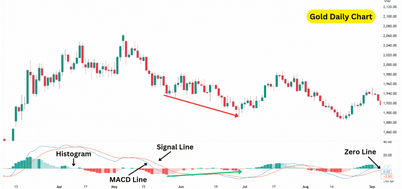 Gold daily chart displaying MACD indicator divergence with the histogram, signal line, and zero line highlighted.